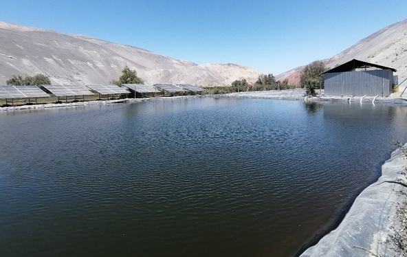 Comisión Nacional de Riego lanza fondo concursable para Organizaciones de Usuarios de Aguas en Tarapacá