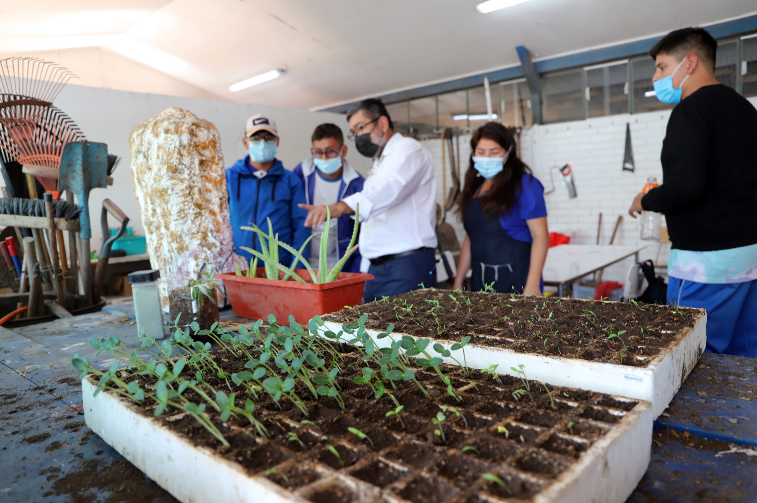 Corporación Tarapacá fomenta la inclusión con dinámicas de trabajo colaborativo y horizontal