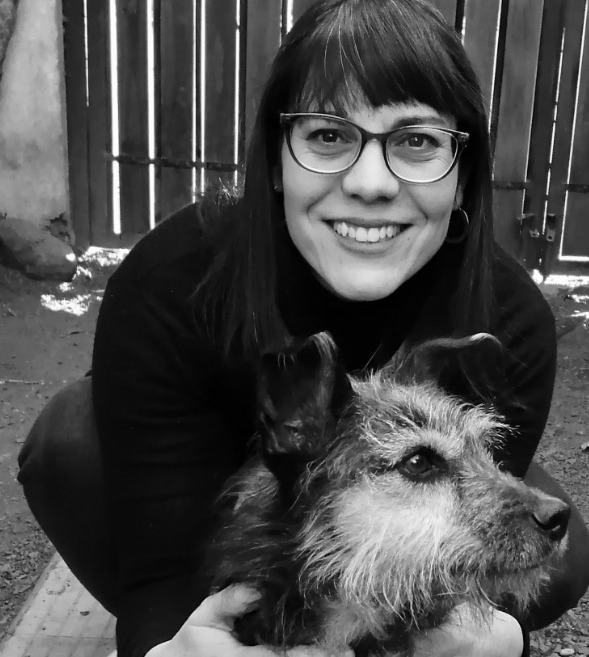 Censo de mascotas en Chile y la falta de una política pública en tenencia responsable