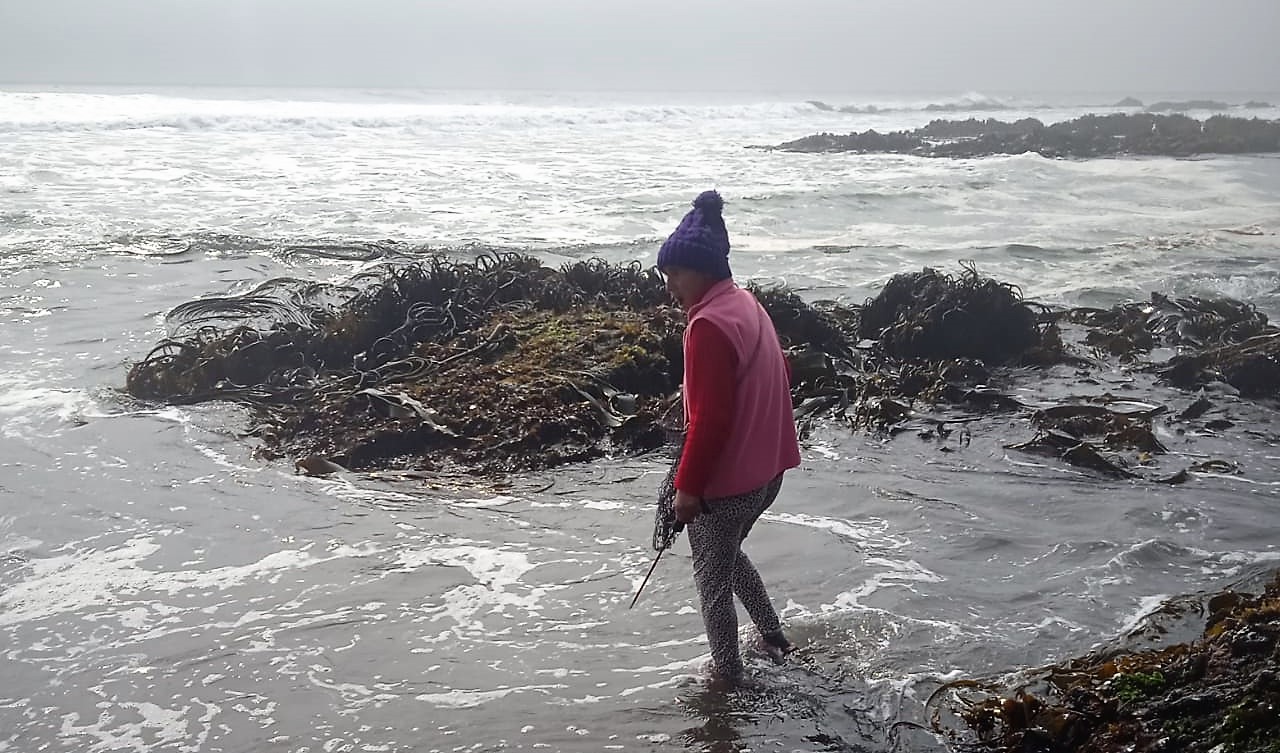 INDESPA apoyará a 1400 tripulantes, buzos y recolectores de orilla con indumentaria y material de trabajo