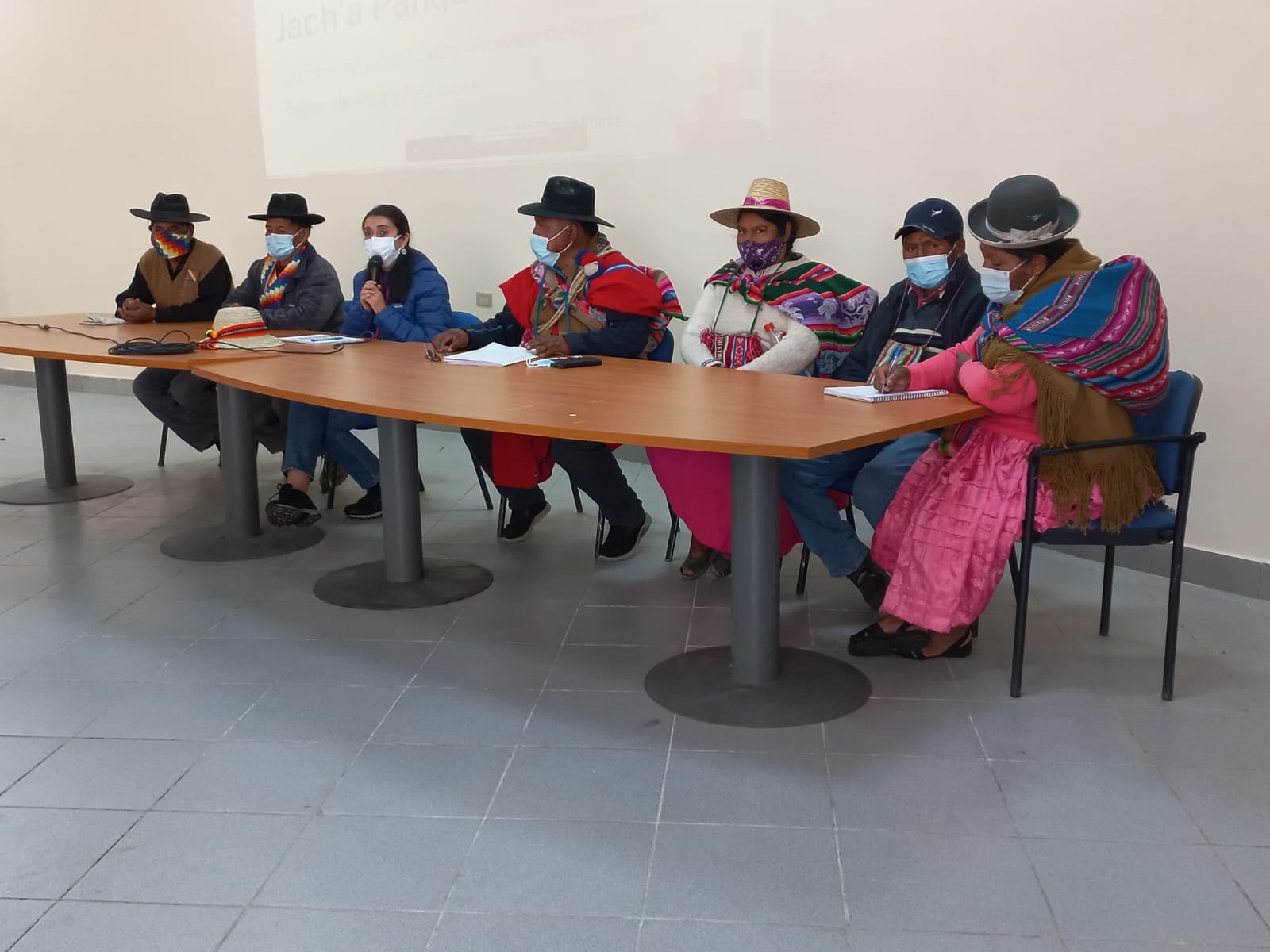 Más de mil personas aymaras participaron en la Consulta Indígena de la Convención Constituyente