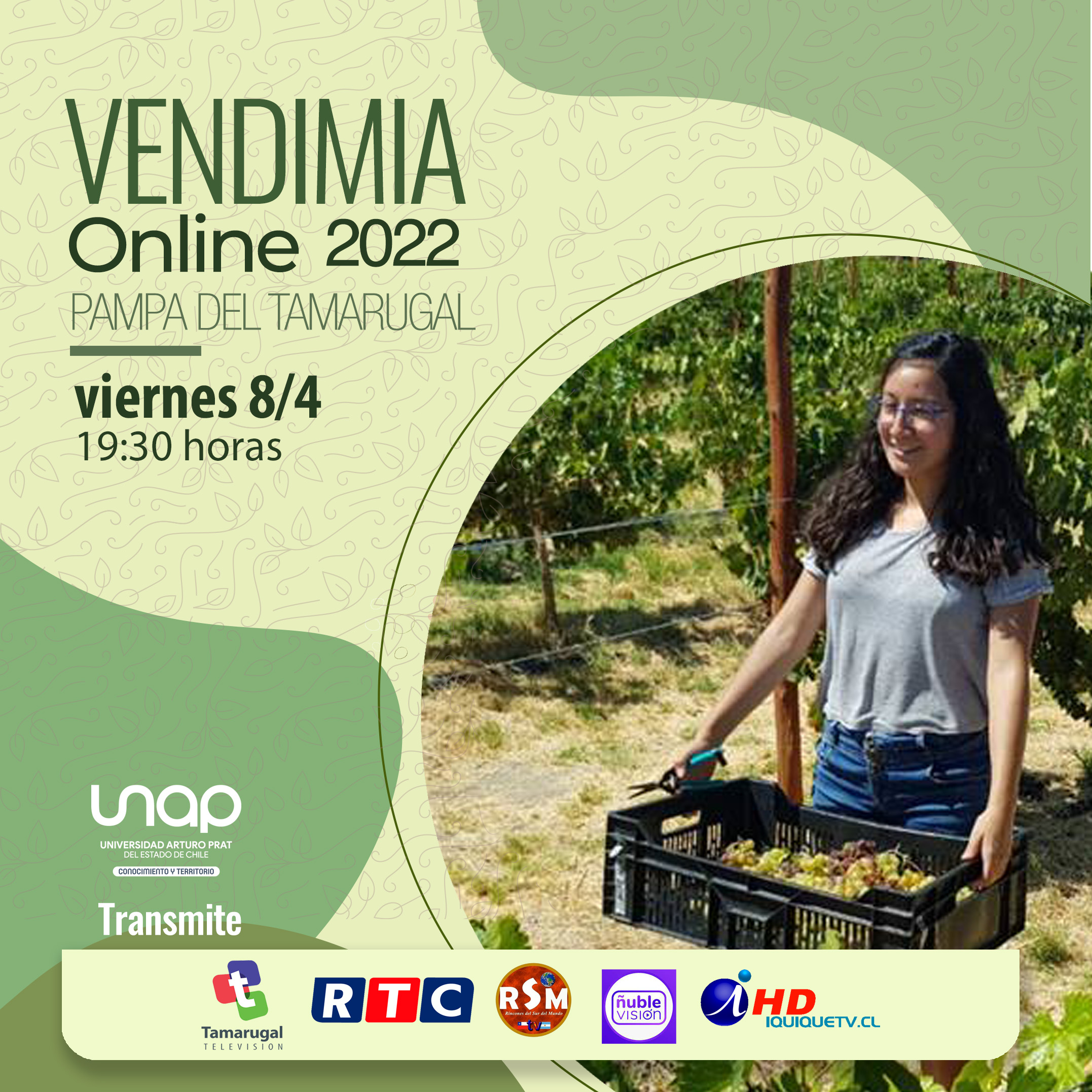 Vino del Desierto invita a Fiesta de la Vendimia online￼