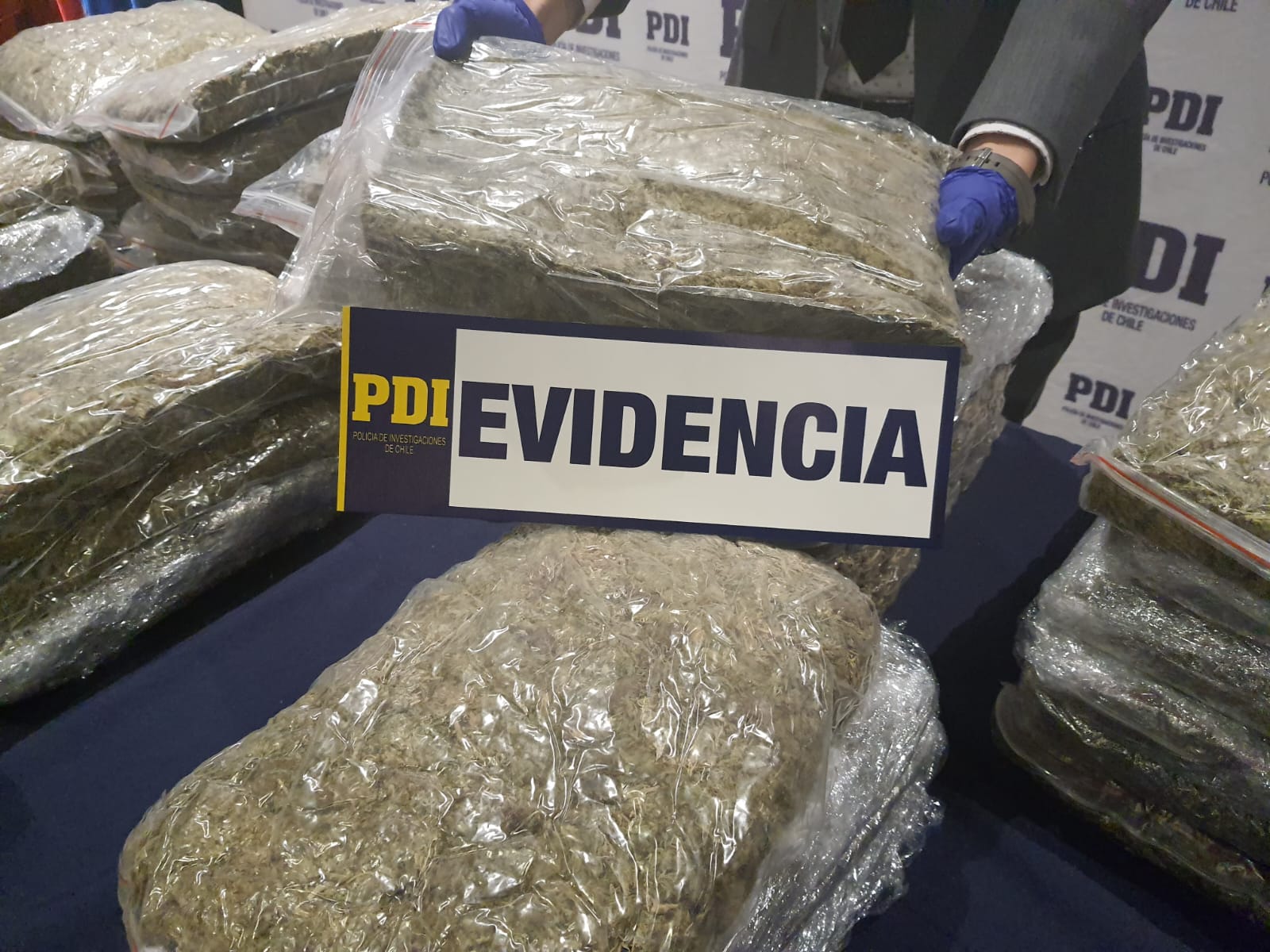 BRIANCO de PDI Tarapacá desarticula banda criminal incautando 53 kilos de droga