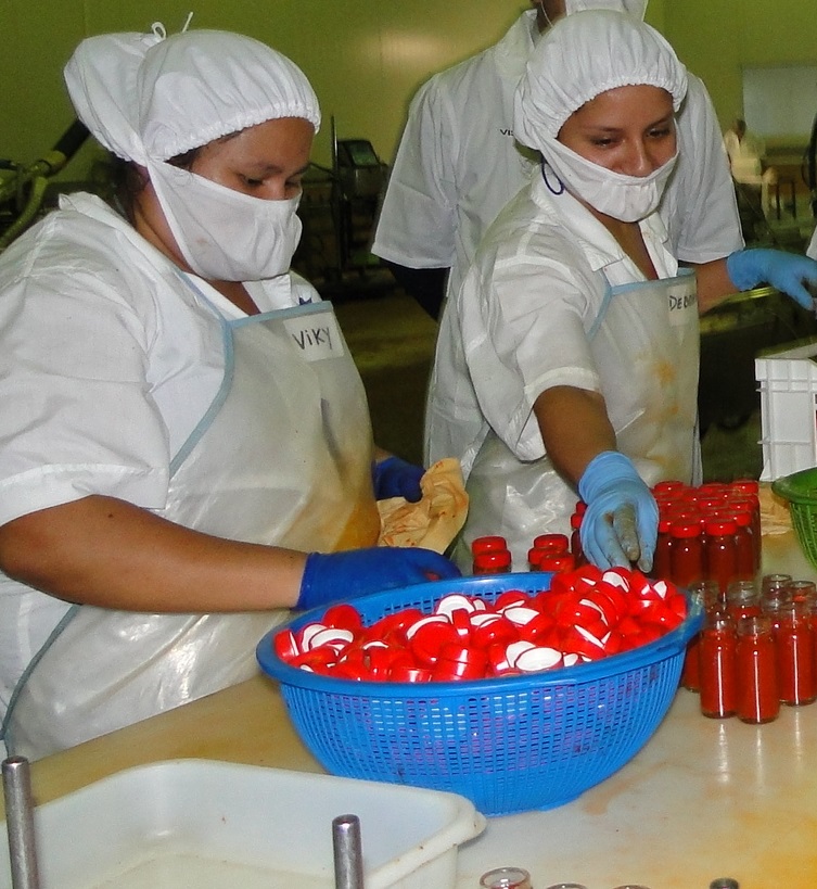 DFL-15: Más de $351 millones para bonificar a Mipymes de Arica y Parinacota￼