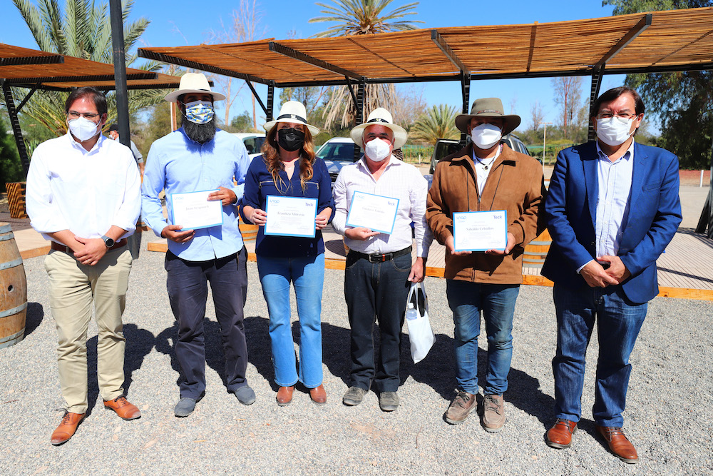 Finaliza segunda etapa del Programa de Capacitación de la Vid de Vino del Desierto￼