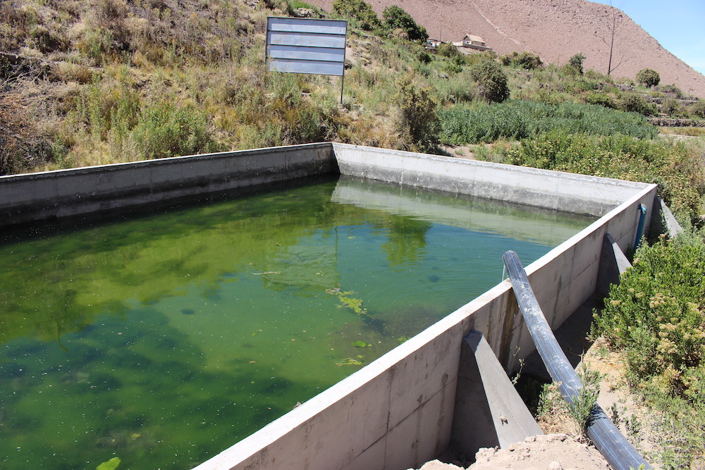 Abren concurso de obras civiles y tecnificación para agricultores de Tarapacá