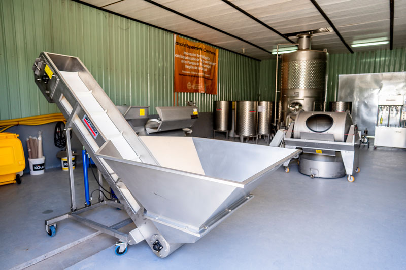 5 razones para ir a la Ruta del Vino en Tarapacá￼