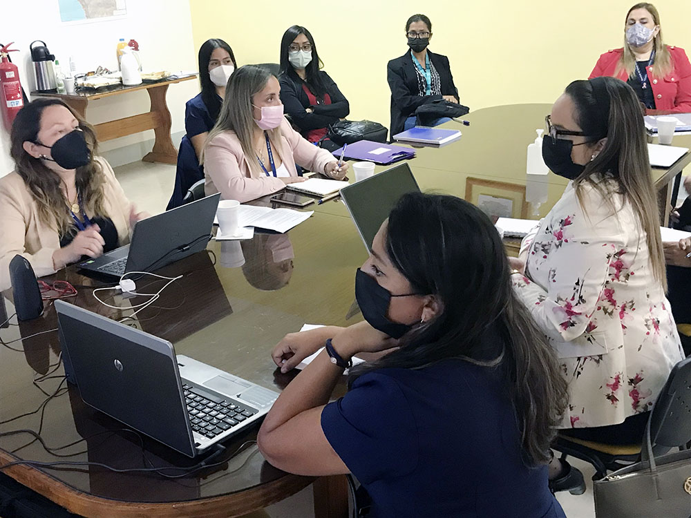 Servicio de Salud, SEREMI y atención primaria acuerdan reforzamiento de vacuna influenza en escuelas￼