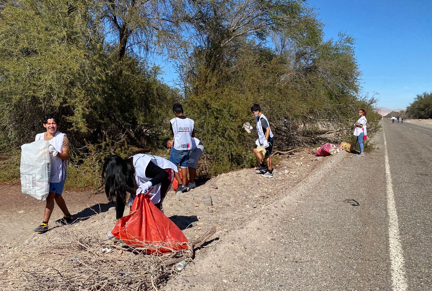 Voluntarios de INJUV realizaron operativo de limpieza en la Reserva Nacional Pampa del Tamarugal