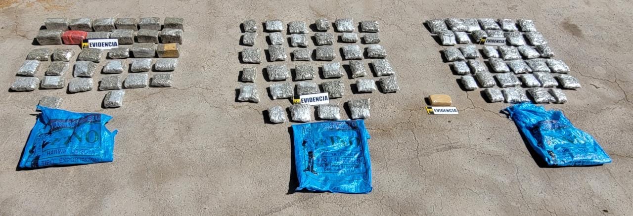 PDI Tarapacá detiene a tres ciudadanos extranjeros por infracción a la Ley 20.000 