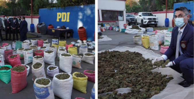 PDI incauta en Coquimbo 2 toneladas de marihuana avaluadas en $10 mil millones