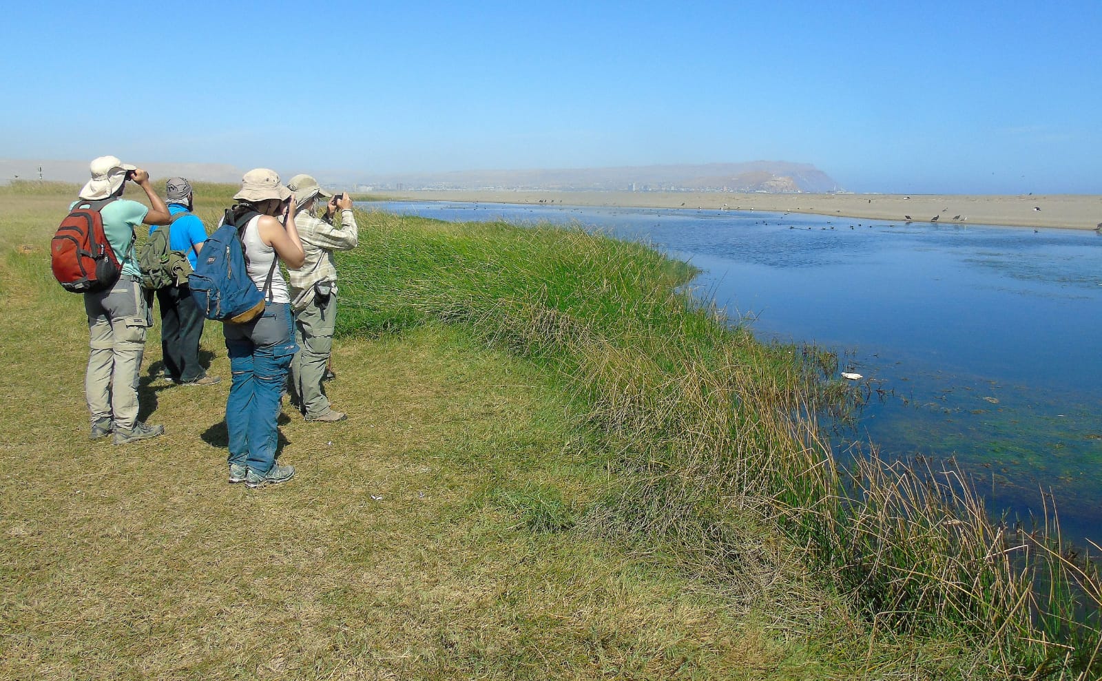 Agrupación Observadores de Aves de Arica y Parinacota logran nuevamente el 1er  lugar de Chile en el Global Big Day 2022