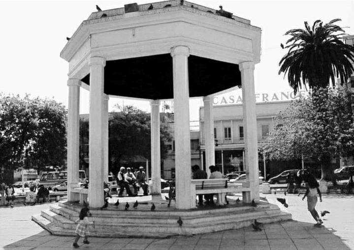 Volver, por Sonia Pereira Torrico