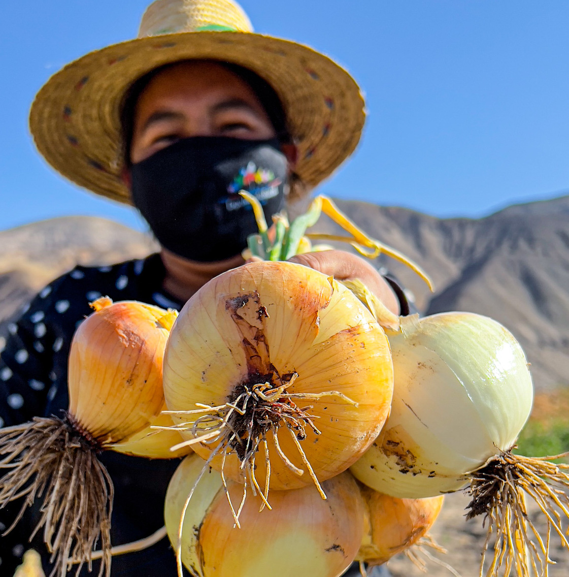 Expo Mundo Rural marca destaca como alternativa en el comercio electrónico de Tarapacá￼