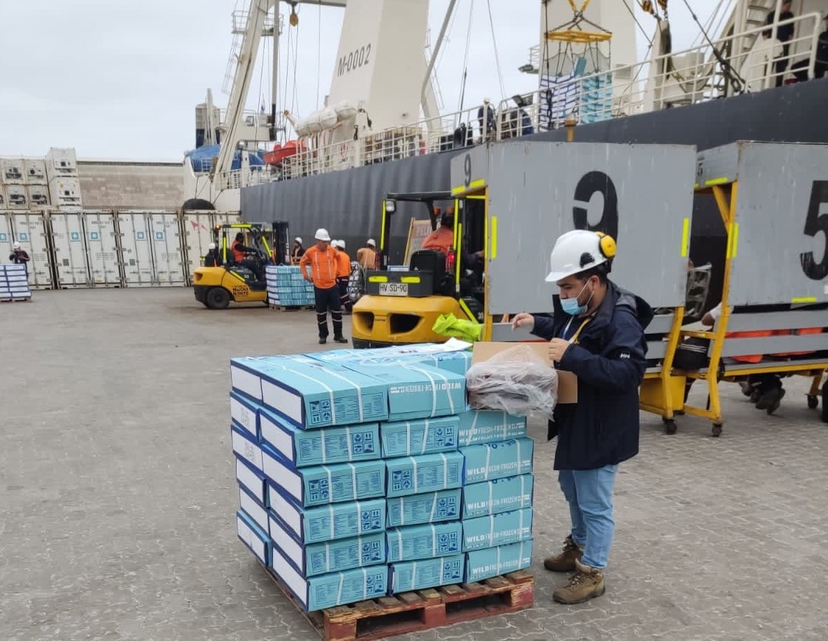 Sernapesca Tarapacá fiscaliza y certifica más de 16 mil toneladas de recursos tras 6 recaladas de naves extranjeras￼
