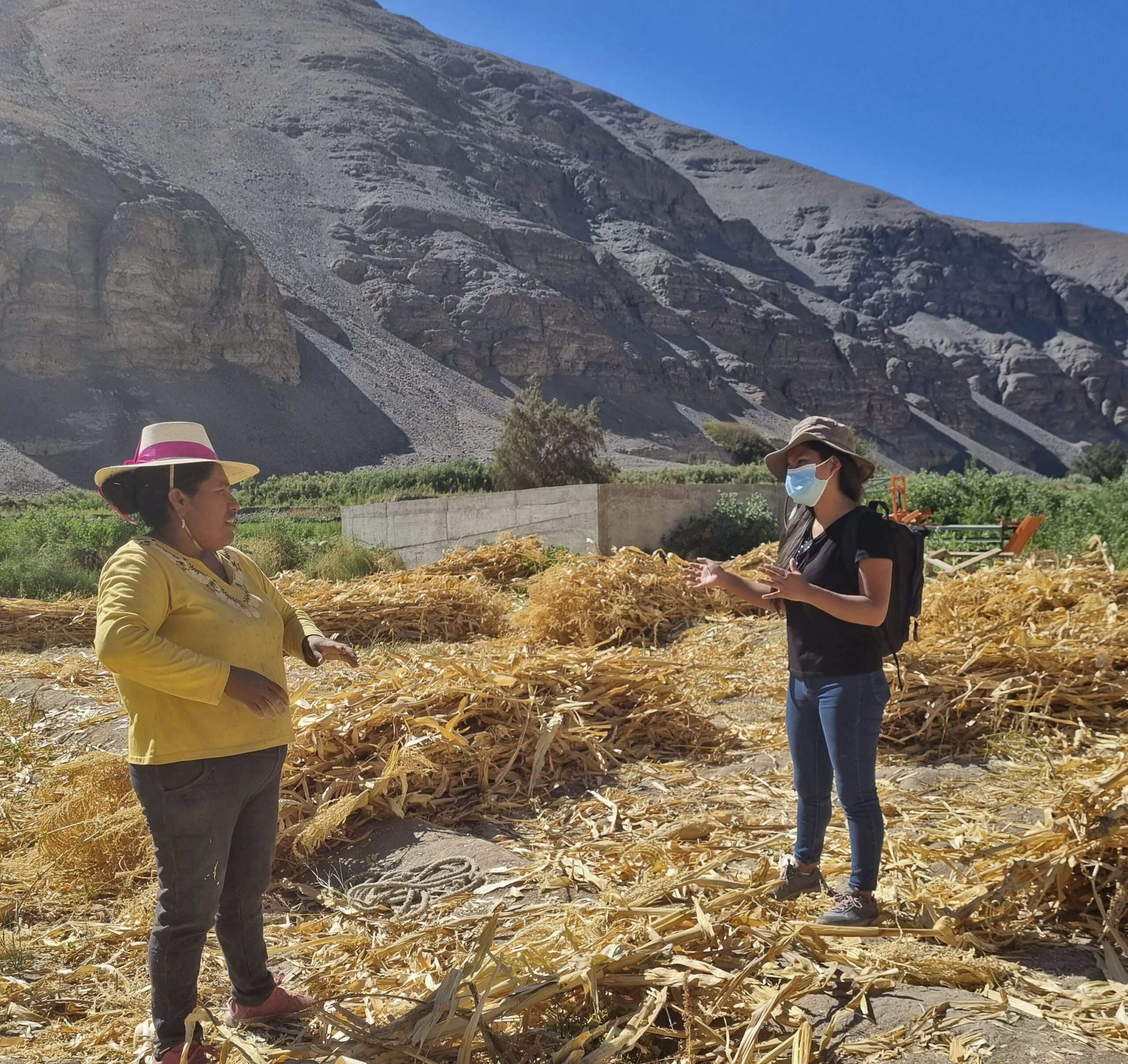 INDAP Tarapacá define plan de trabajo anual con sus usuarios￼