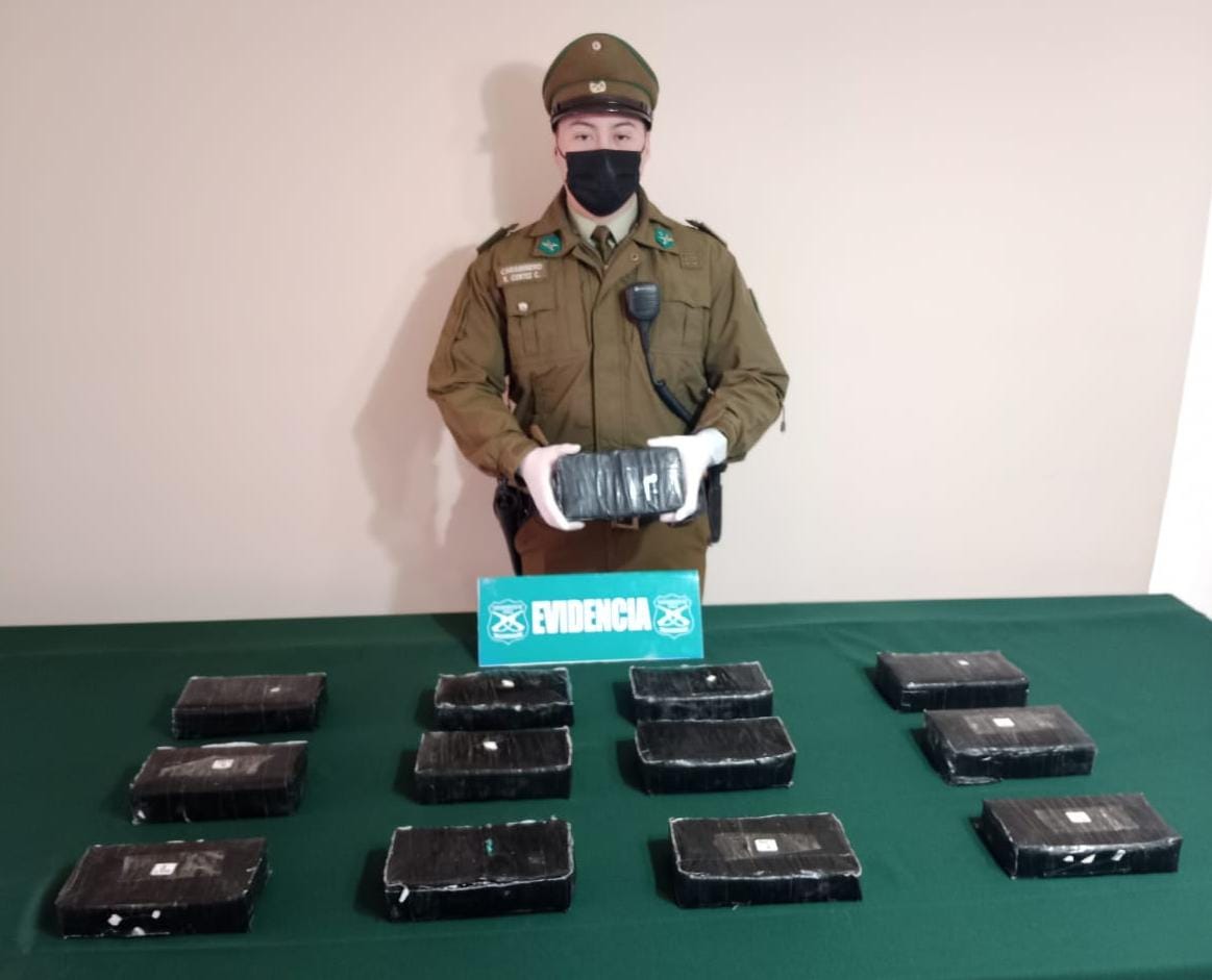 Can detector Ancor delata a mujeres que transportaban drogas en trayecto de Ruta Huara-Colchane