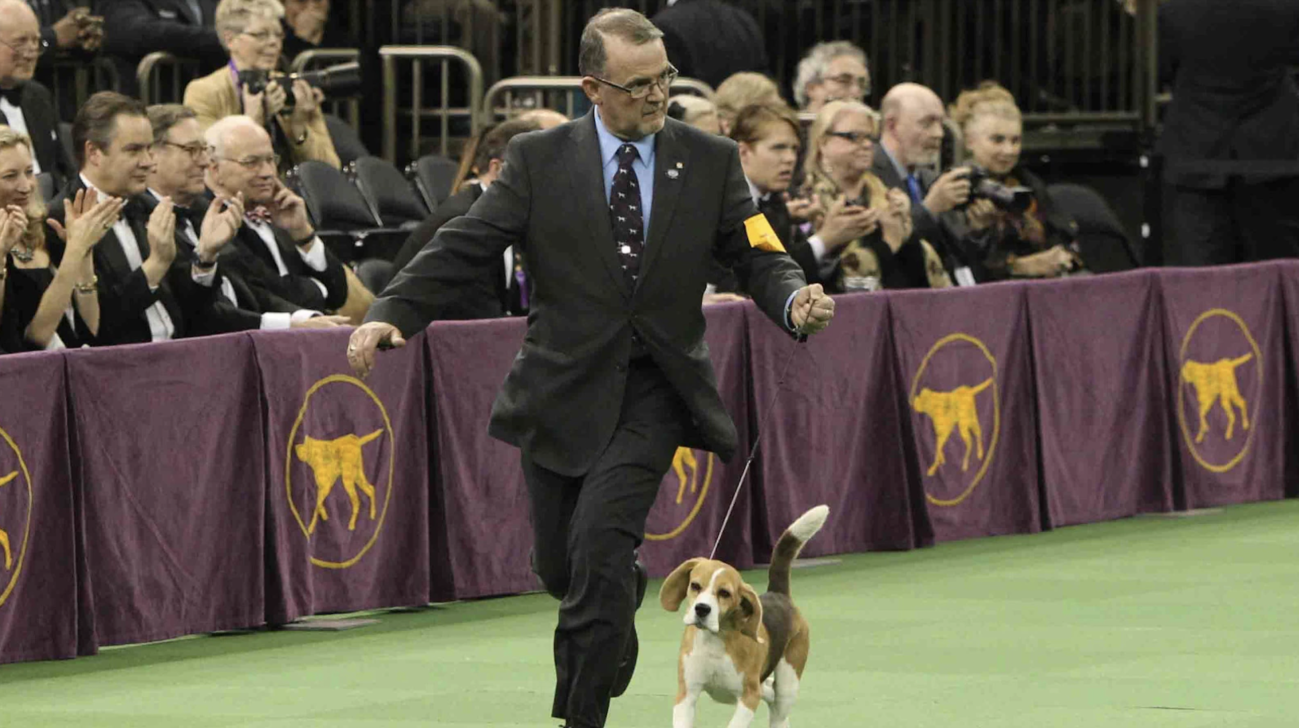 El evento canino más importante de Sudamérica