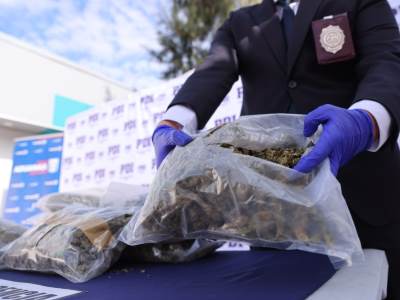 Tarapacá: Fiscalía y PDI desbaratan banda familiar que trasladaba 304 kilos de droga a la zona central