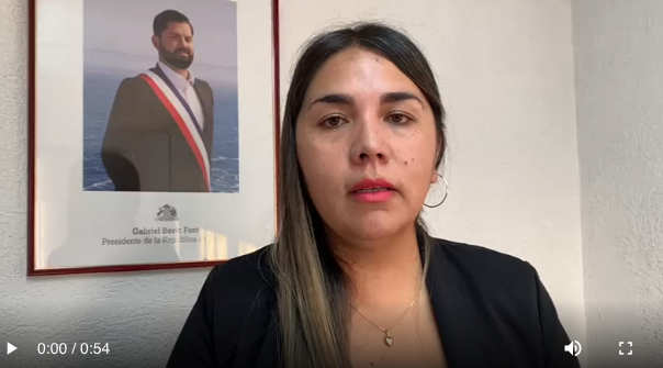 Análisis de la seremi de Gobierno en Tarapacá de la cuenta Pública del Presidente Boric