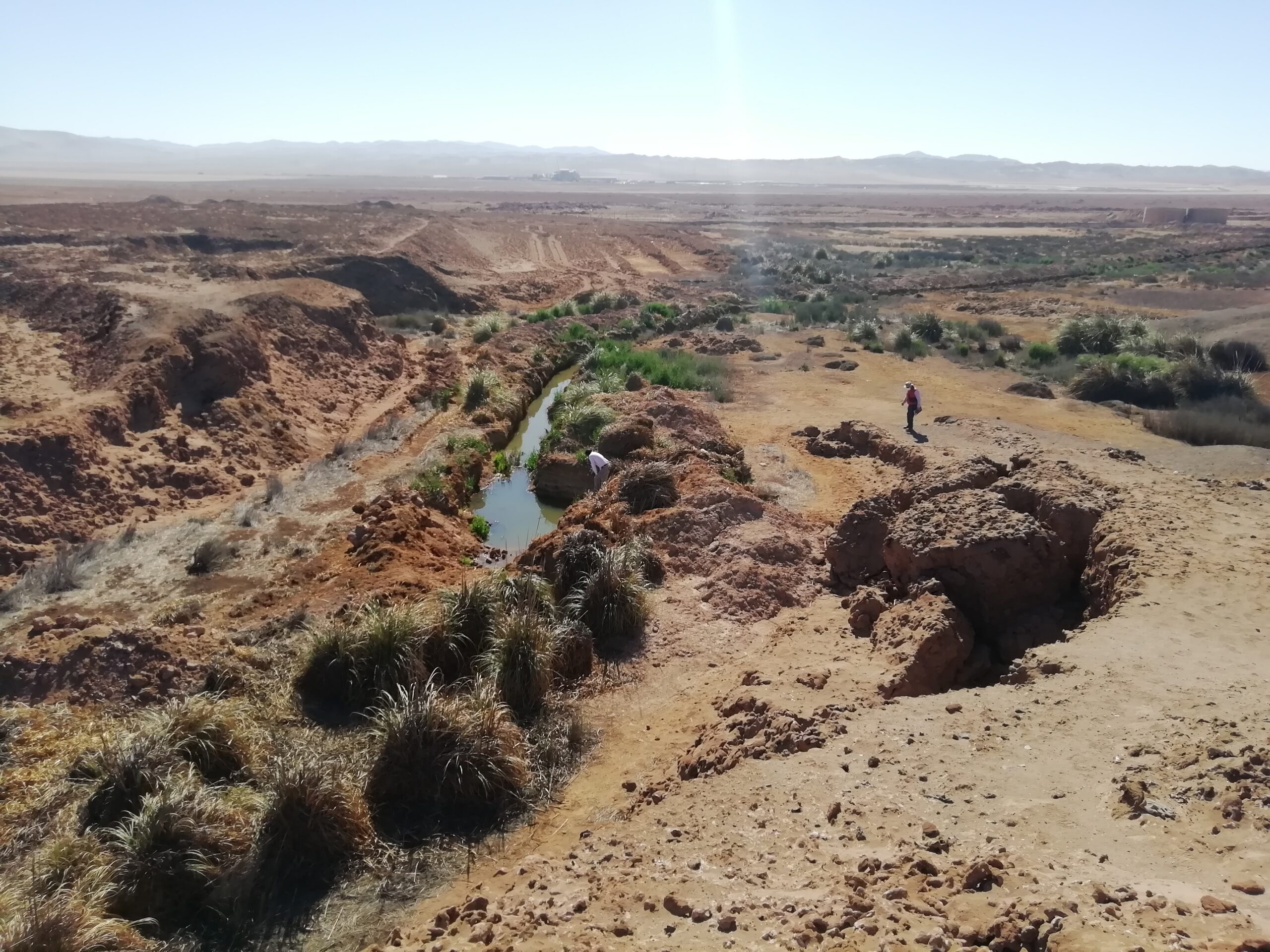 Aguas Antofagasta y Fundación Kennedy firman convenio de colaboración para el resguardo del humedal urbano Salar del Carmen