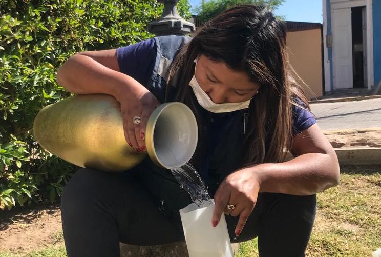 Seremi de Salud llama a no usar agua en floreros para prevenir mosquito Anopheles