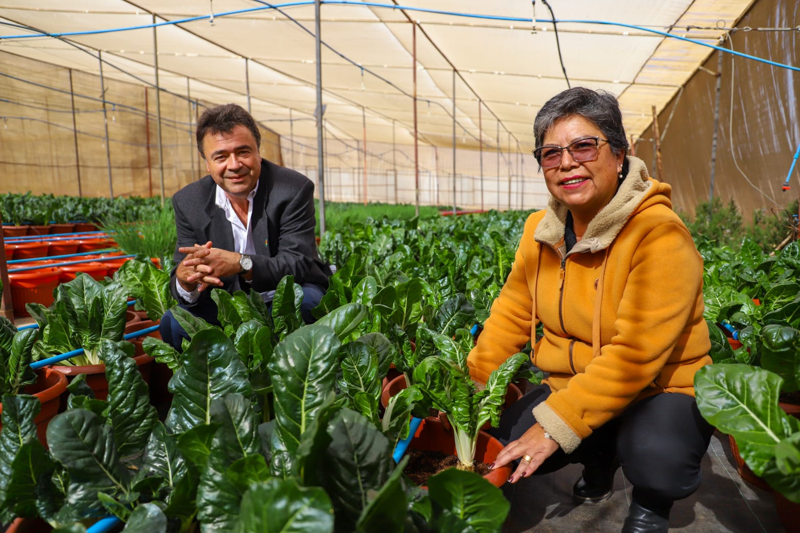Ministro Valenzuela visita viñas de Toconao y destaca importancia del trabajo de las cooperativas indígenas