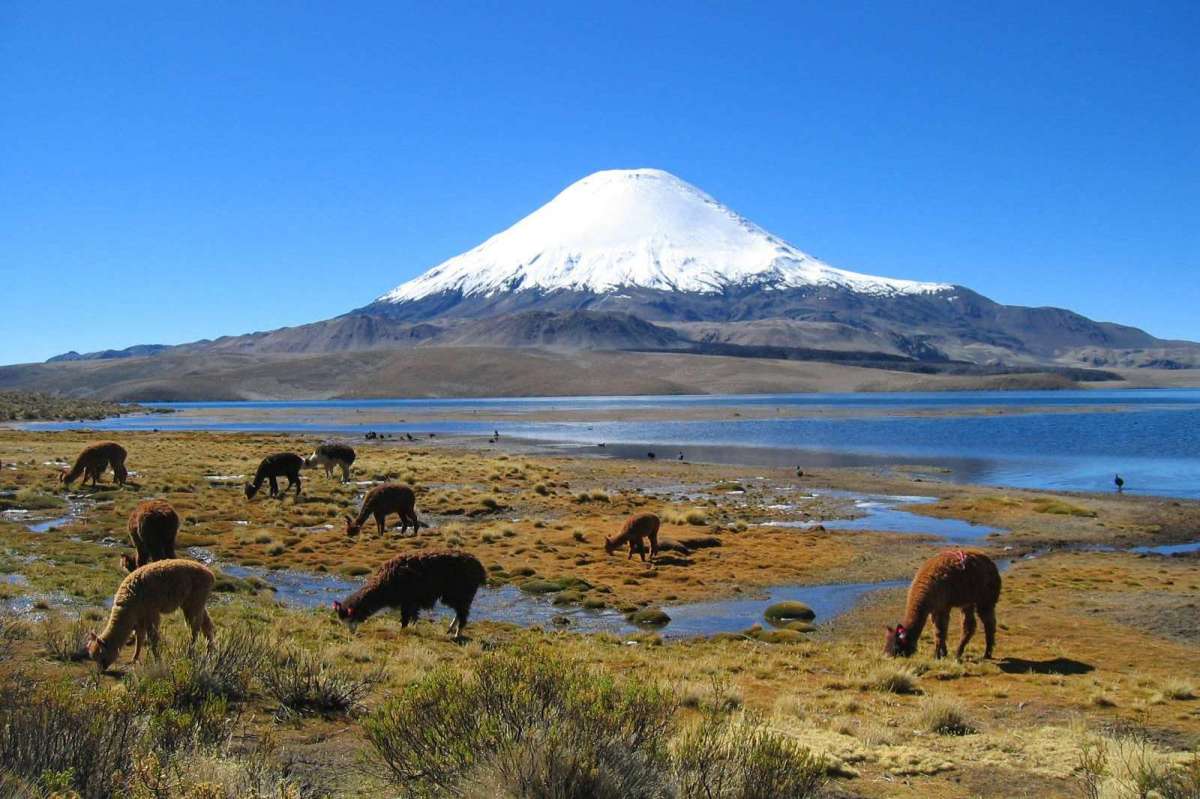 Minagri posiciona a la Reserva Biósfera Lauca como promotor de desarrollo ecológico a nivel nacional￼