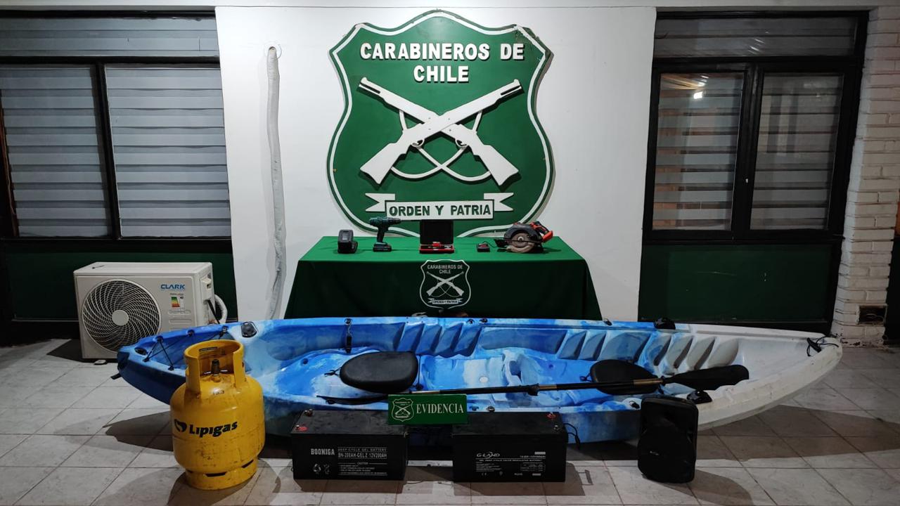 Tras investigación de Carabineros se recuperaron especies robadas