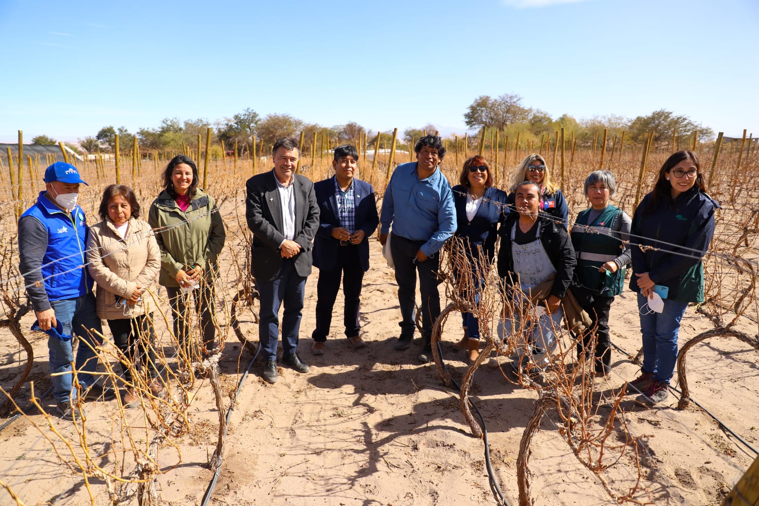 Ministerio de Agricultura apoya generación de vinos de altura en el desierto 