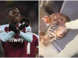 CARTA / Golpeó a su gato