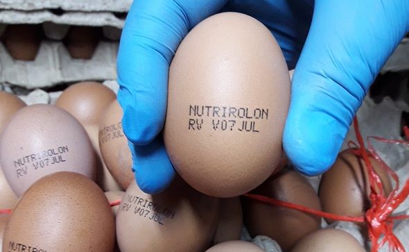 SAG en alerta por reaparición de huevos marca “Nutrirolón” y “Vitaminado”￼