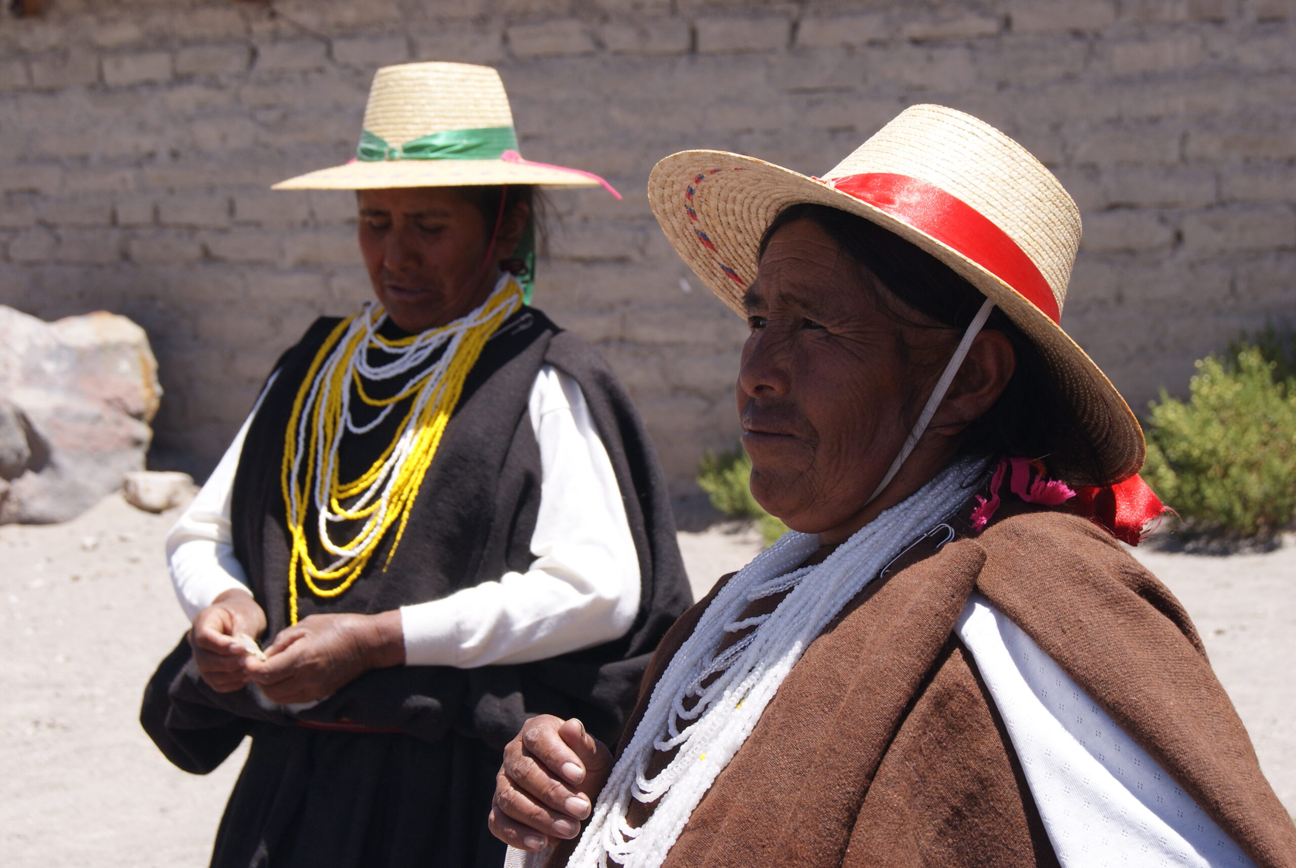 Trabajadores de CONAF se capacitan sobre pueblos indígenas y comunidades locales￼