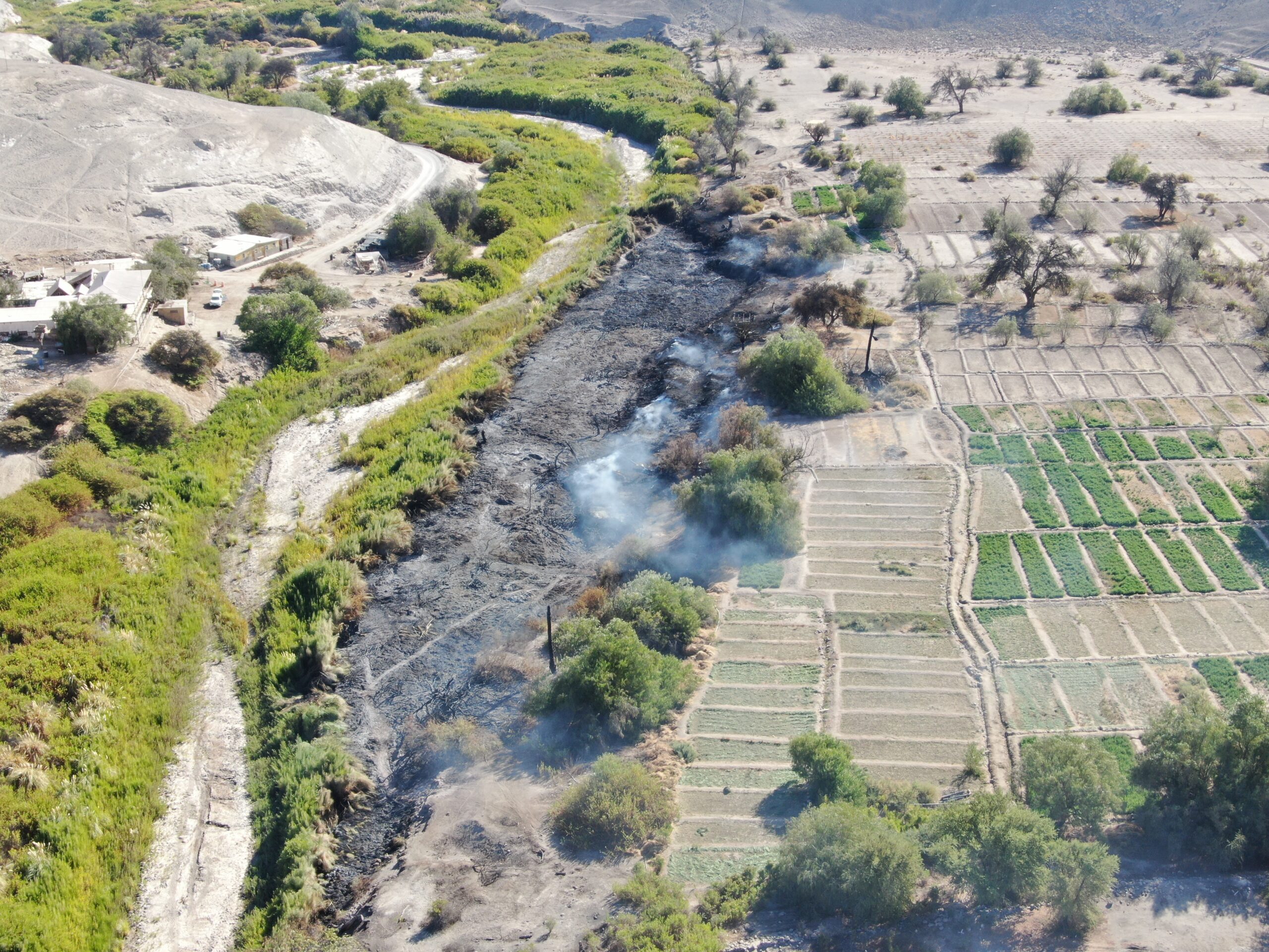 CONAF inicia prohibición de quemas agrícolas en el Tamarugal￼