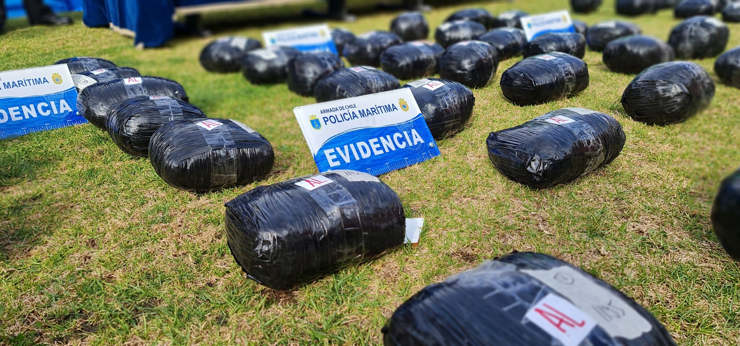 Desbaratan banda de narcotraficantes compuesta por extranjeros