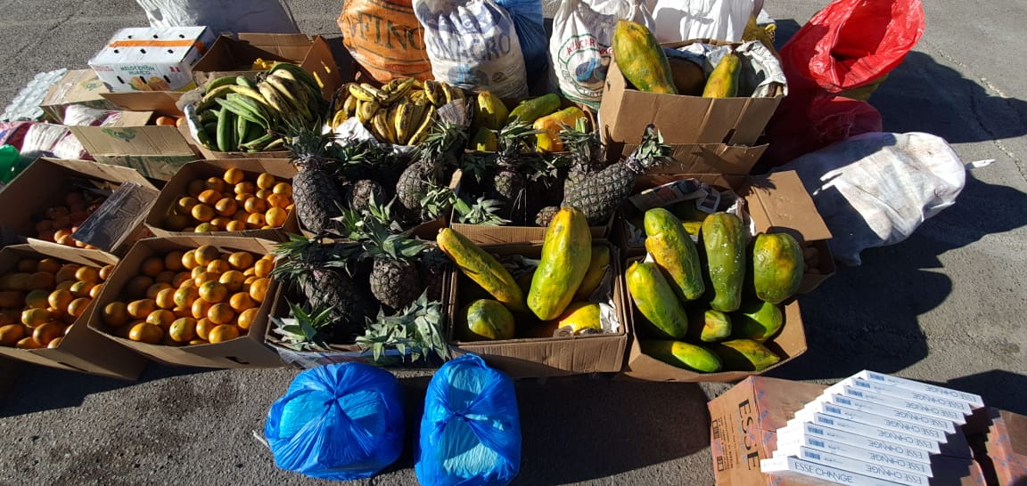SAG Tarapacá: Decomisa más de 30 toneladas de productos agropecuarios de alto riesgo￼