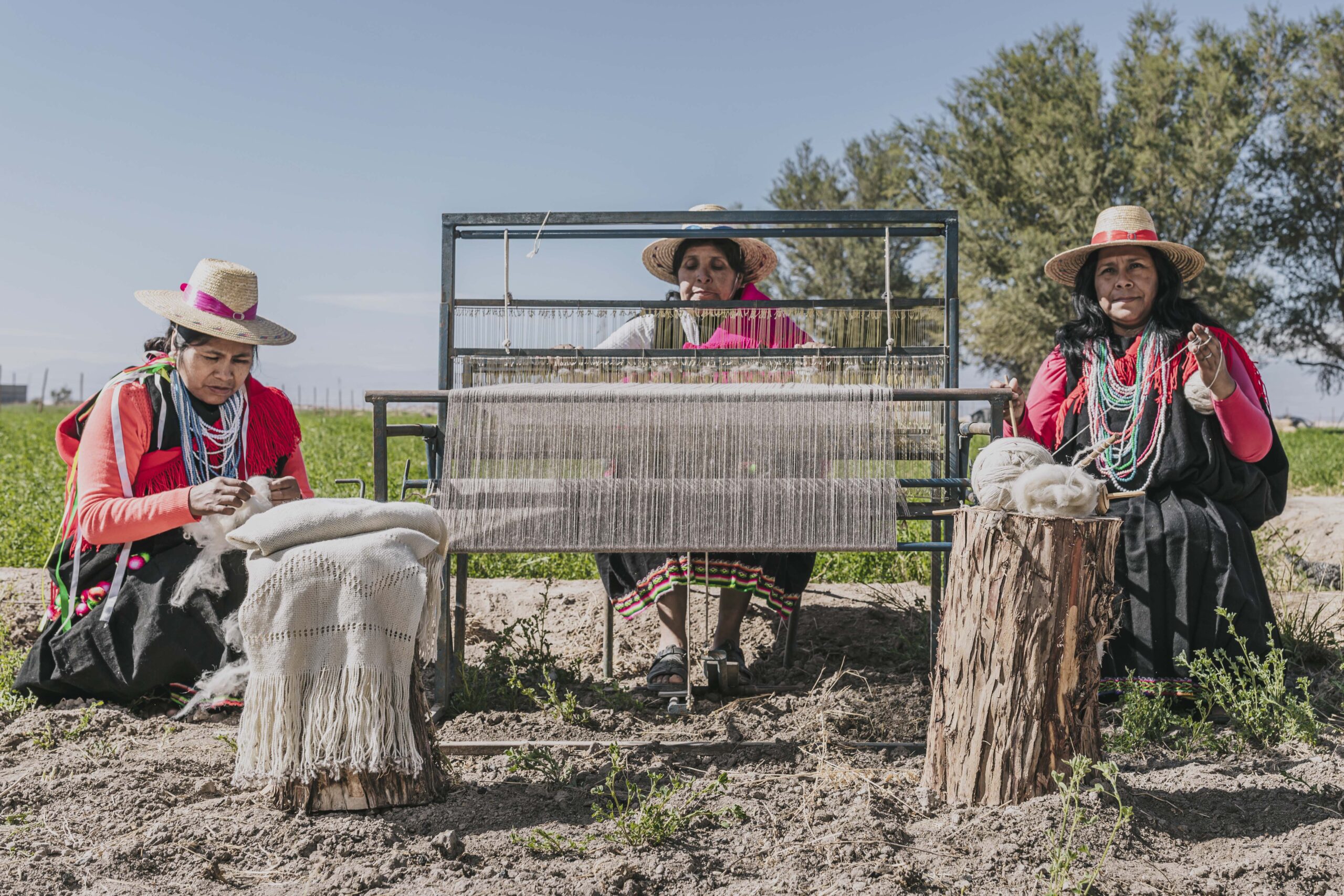 Abrió sus puertas en línea mercado textil de INDAP