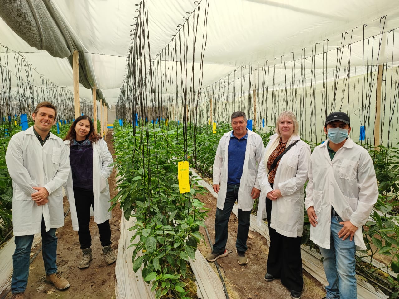 Embajada de Países Bajos apoyaría proyectos agrícolas para Arica y Parinacota￼