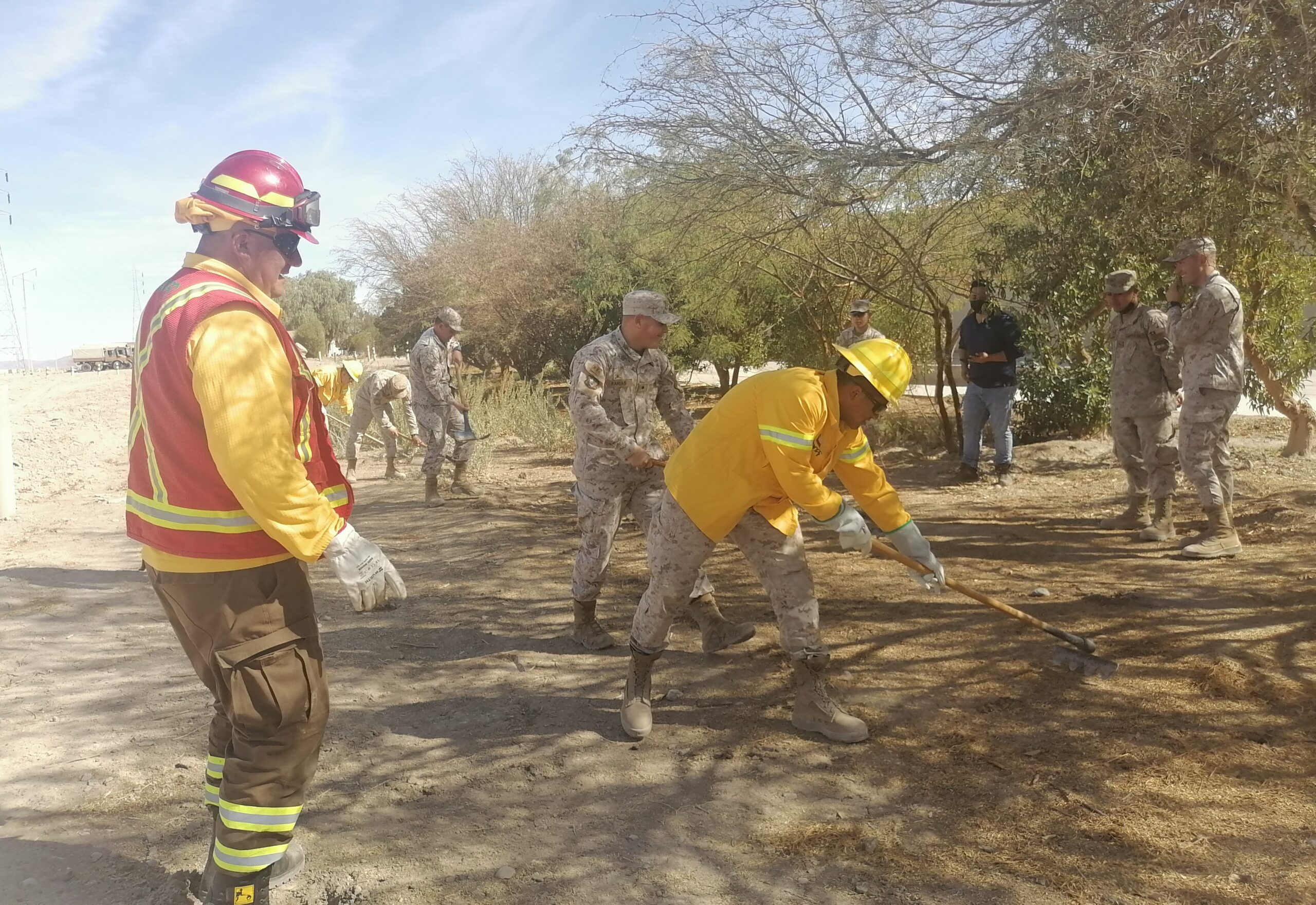 CONAF capacita a personal del Ejército en prevención y combate de incendios forestales