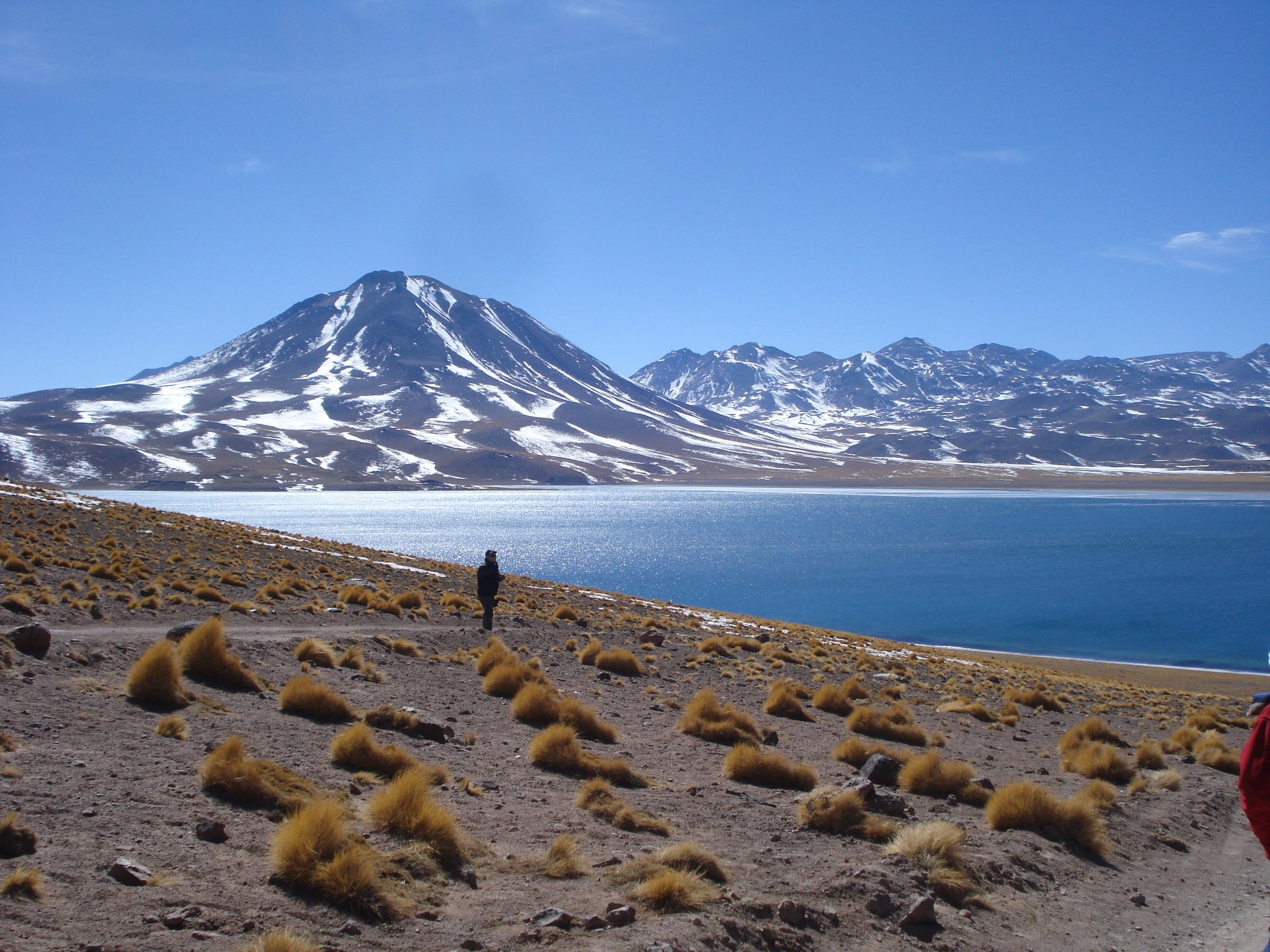 Chile celebra Día Internacional de los Parques Nacionales anunciando autoevaluación de gestión en áreas protegidas￼