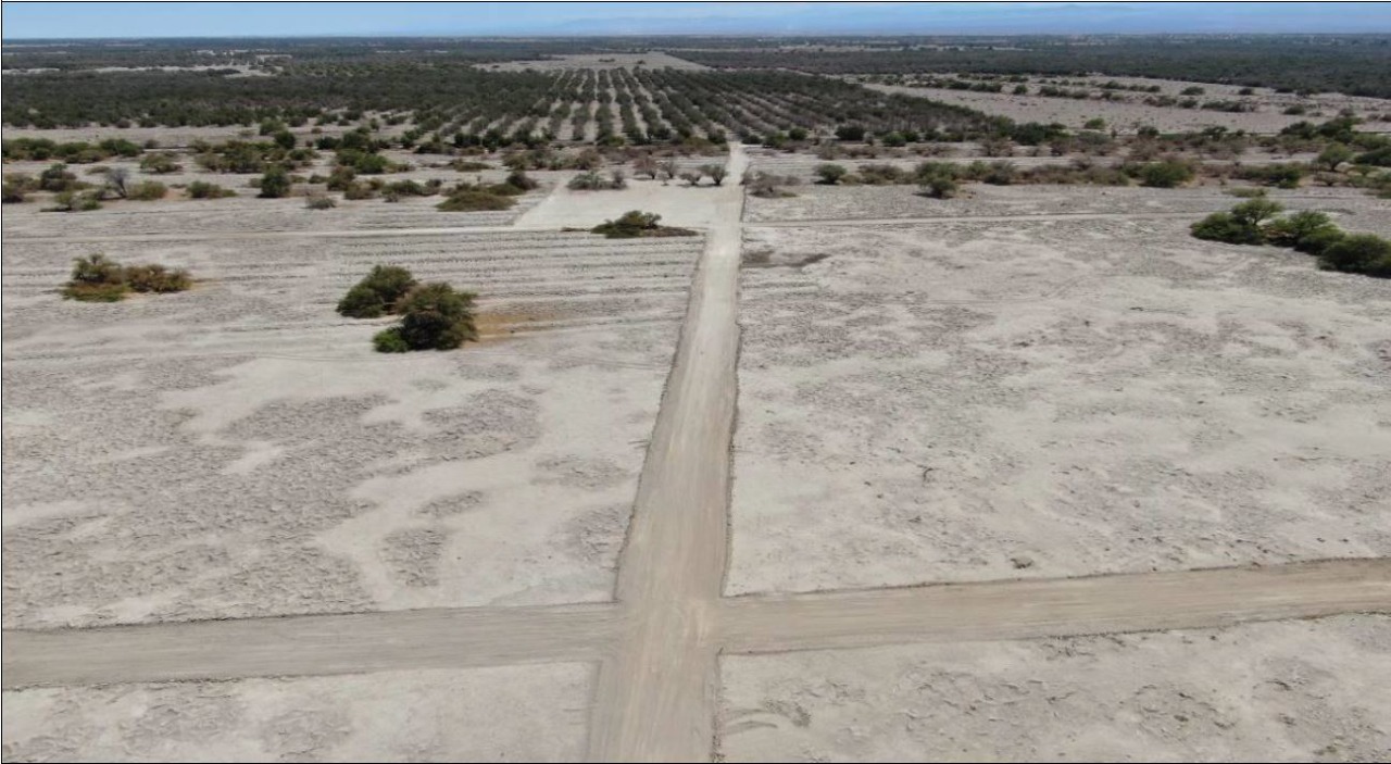 SMA inicia procedimiento contra proyecto de 90 loteos al interior de la Reserva Nacional Pampa del Tamarugal