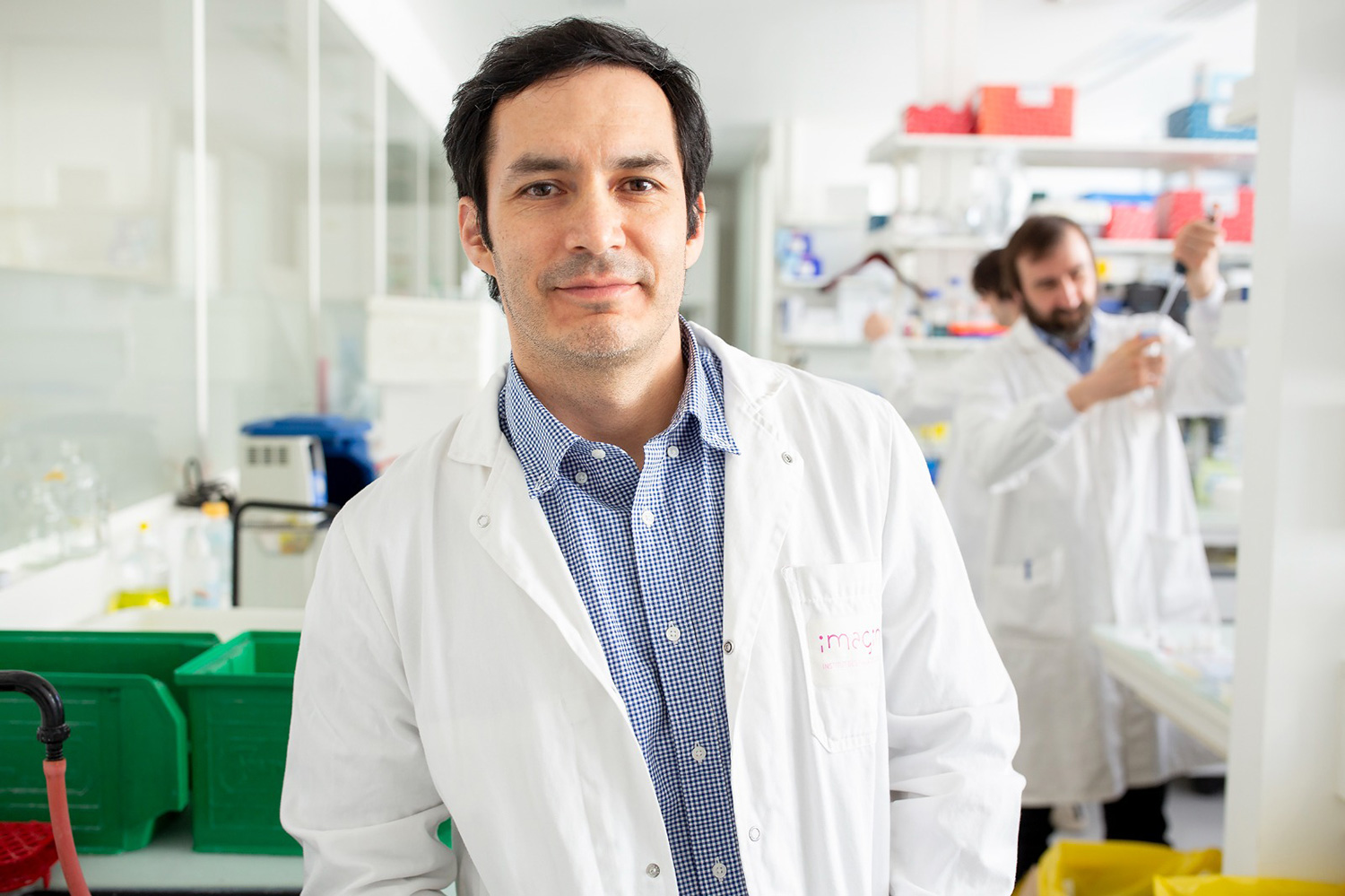 Científico chileno encabeza equipo detrás de hallazgo que cambiaría el tratamiento de las alergias a futuro￼