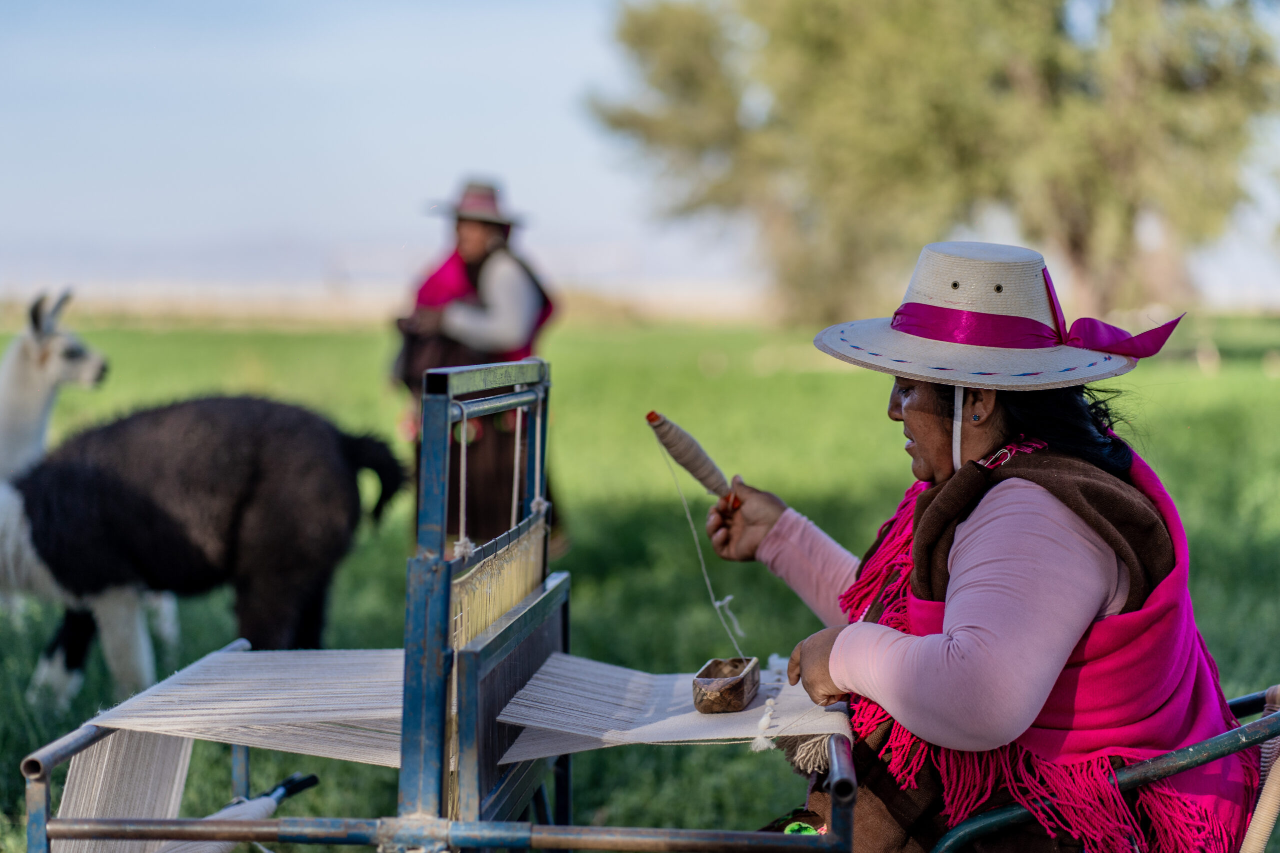 Programa de Internacionalización de Pueblos Originarios beneficia a destacadas artesanas de Tarapacá