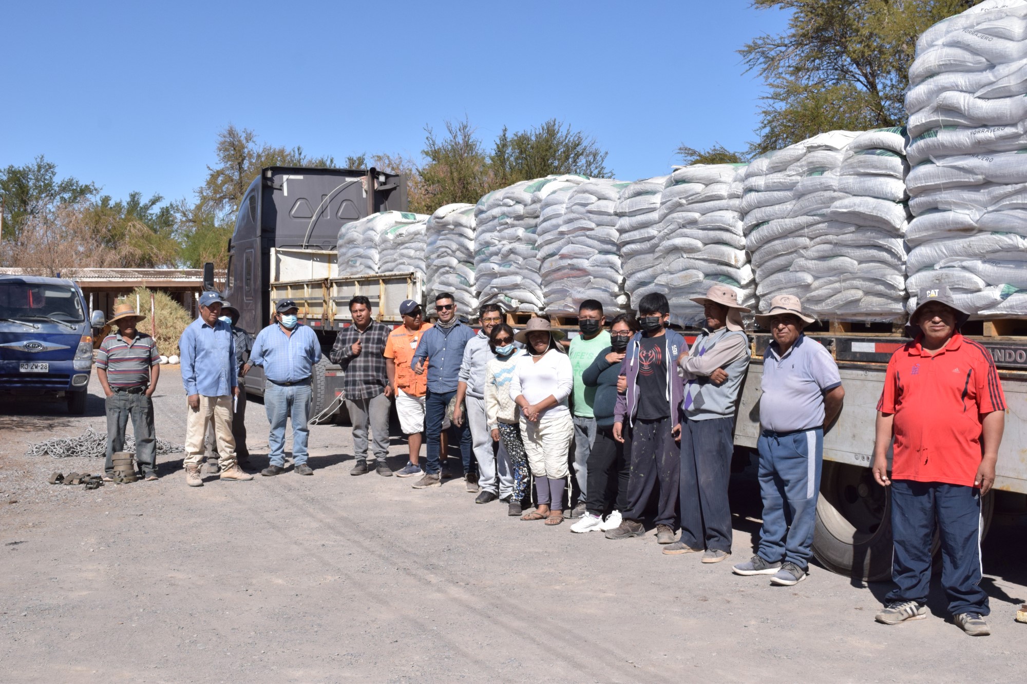 20 toneladas de alimentos para ovinos y caprinos recibieron ganaderos de la Pampa de El Tamarugal