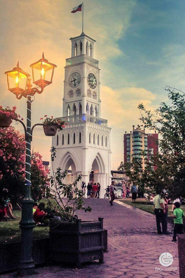 Jardines, por Sonia Pereira Torrico