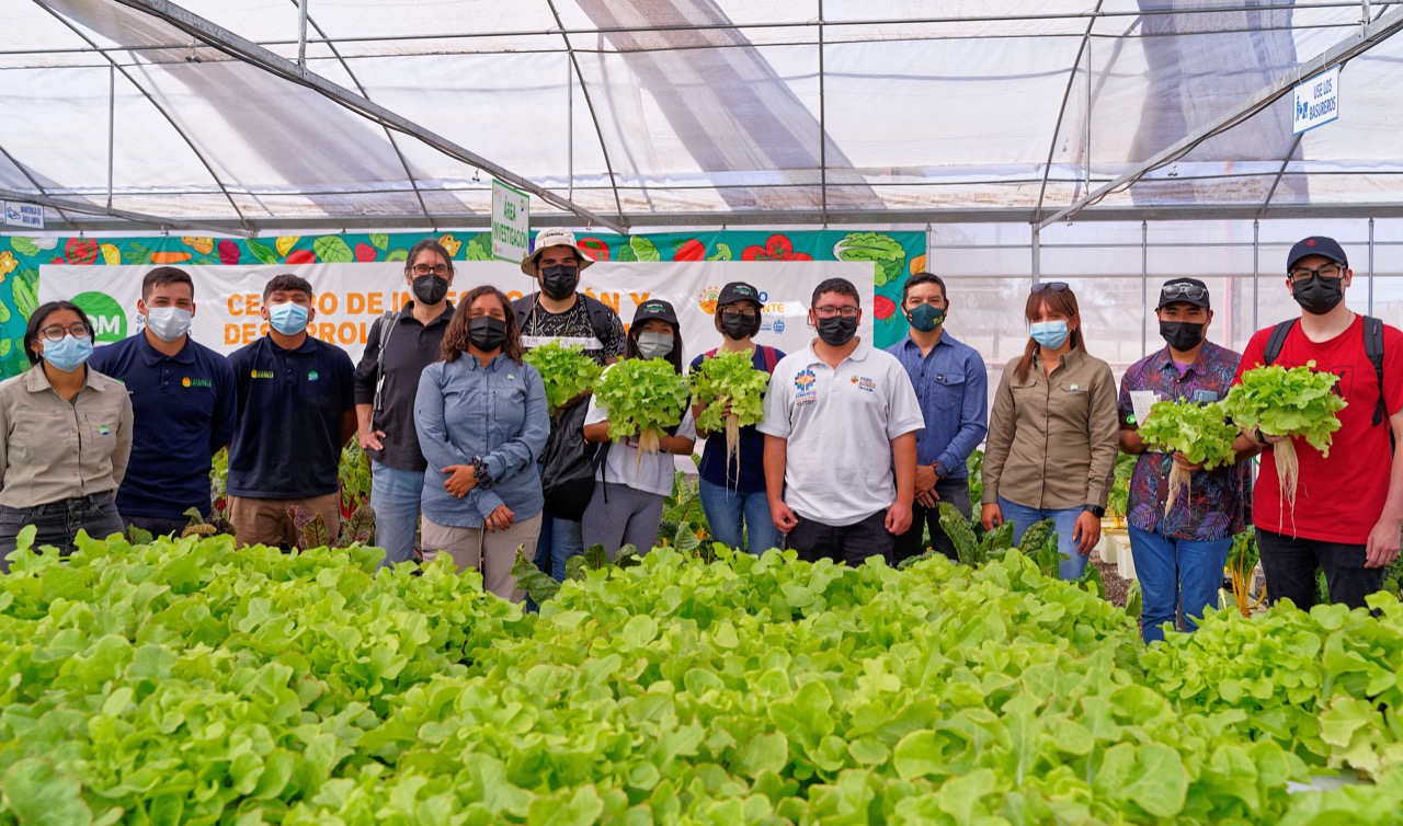 Alumnos de la carrera Civil Ambiental de UNAP realizaron asignatura práctica en invernadero experimental de La Tirana