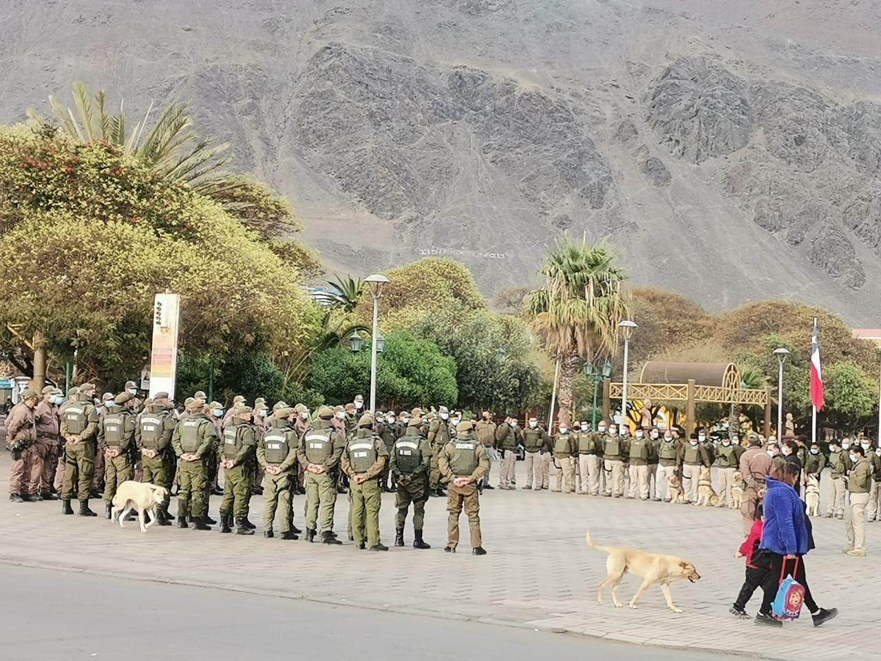 Intenso operativo de seguridad en Taltal