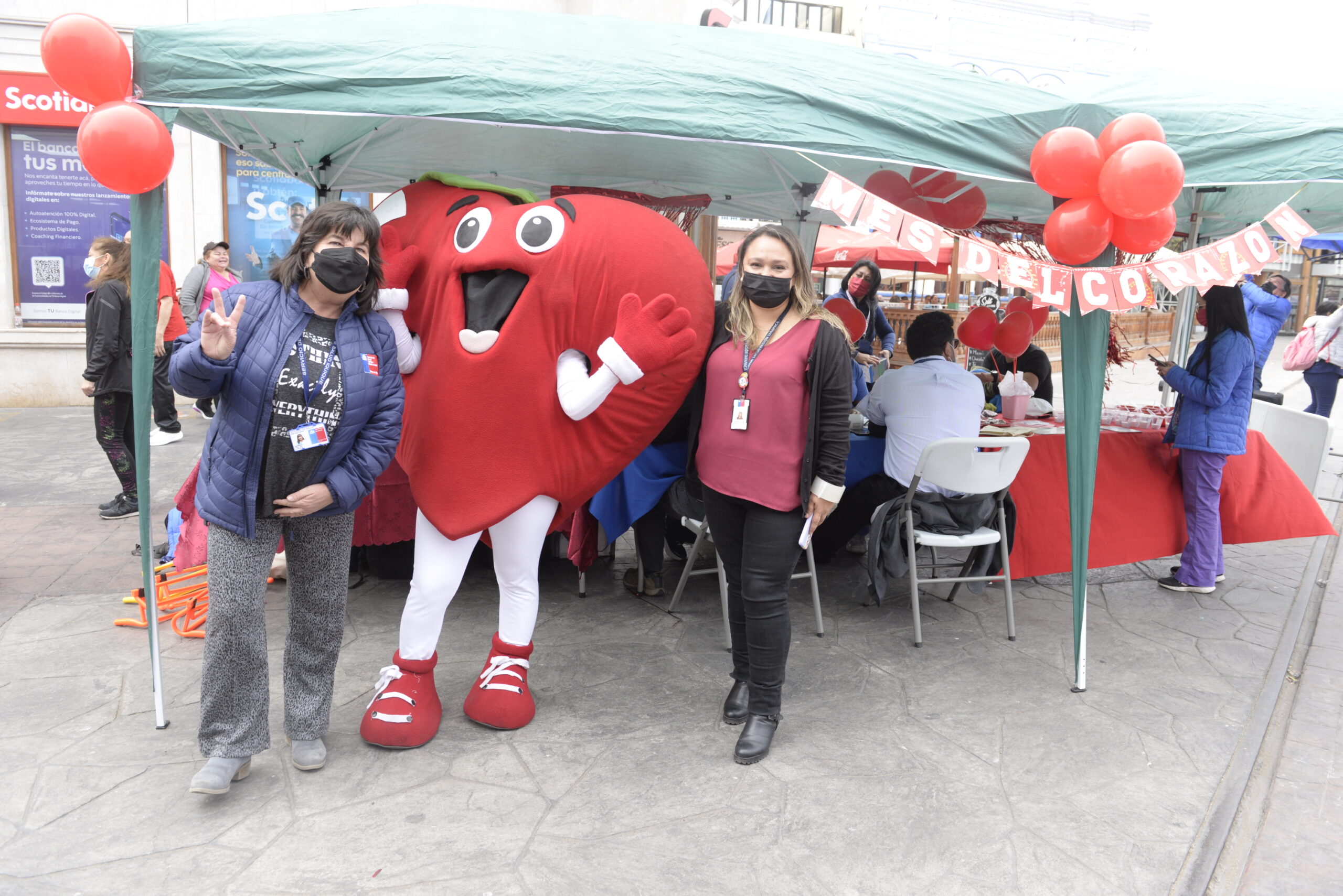 Bajo el lema “Cuídate, la enfermedad cardiovascular mata” conmemoraron Mes del Corazón