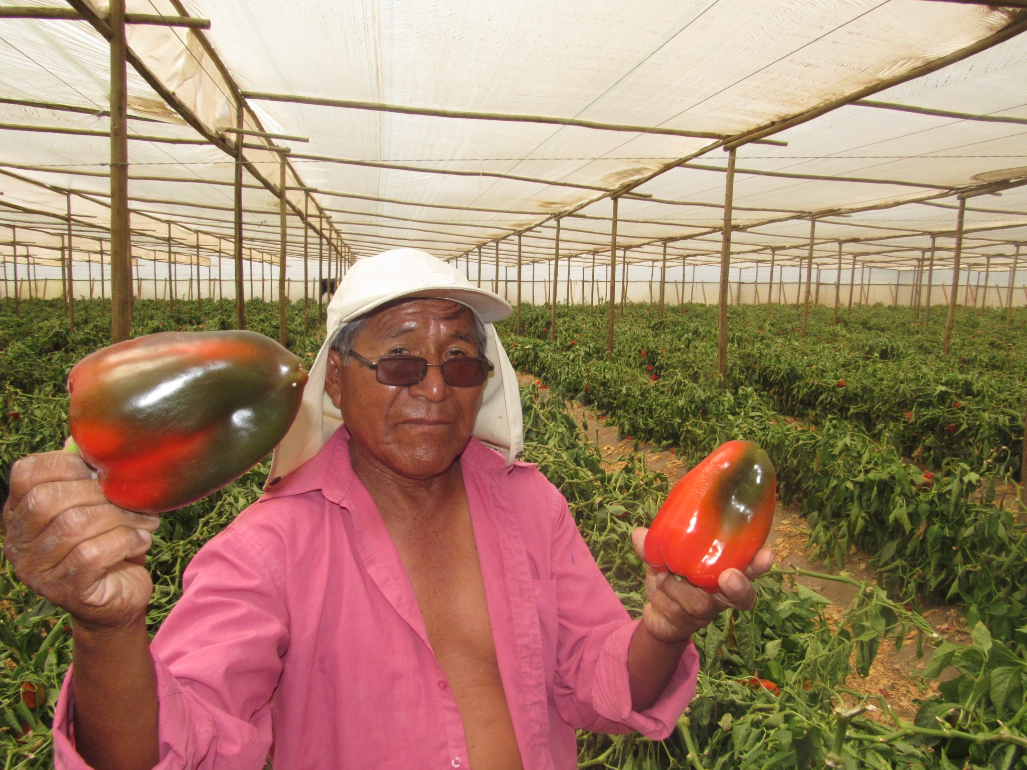 Pymes de Arica y Parinacota podrán implementar normas técnicas￼