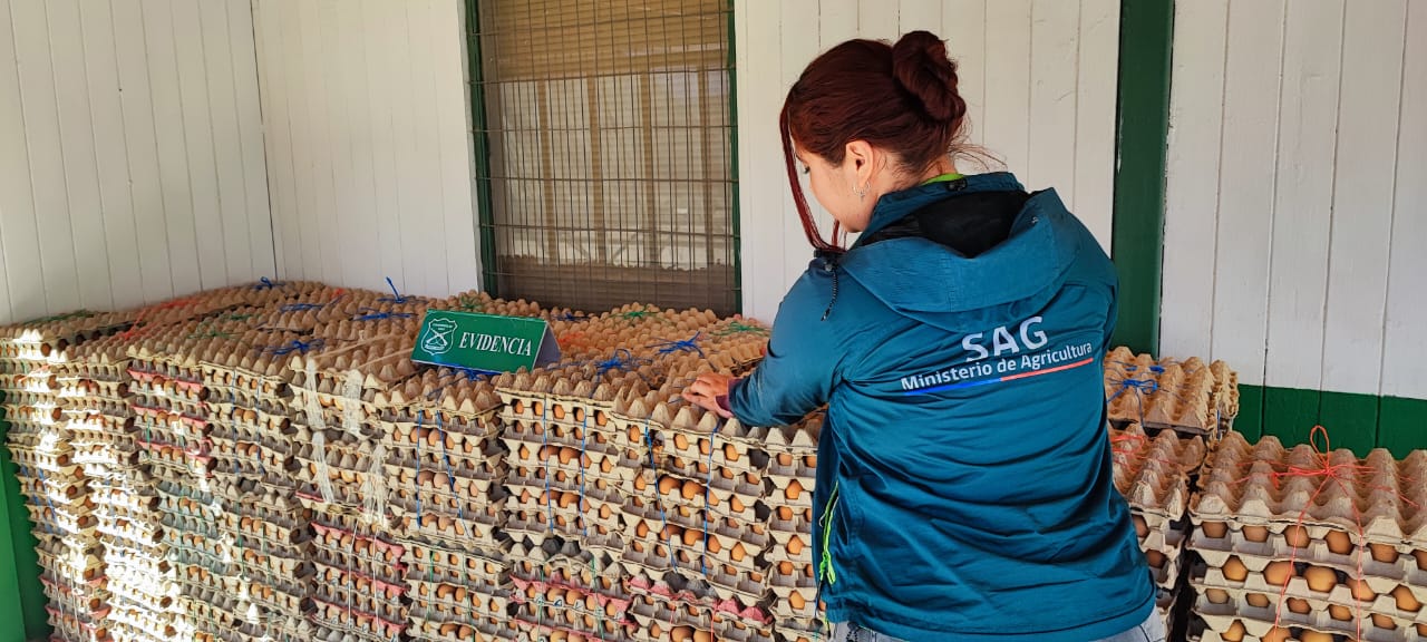 En control de Quillagua decomisan 16.000 unidades de huevo de gallina&nbsp;